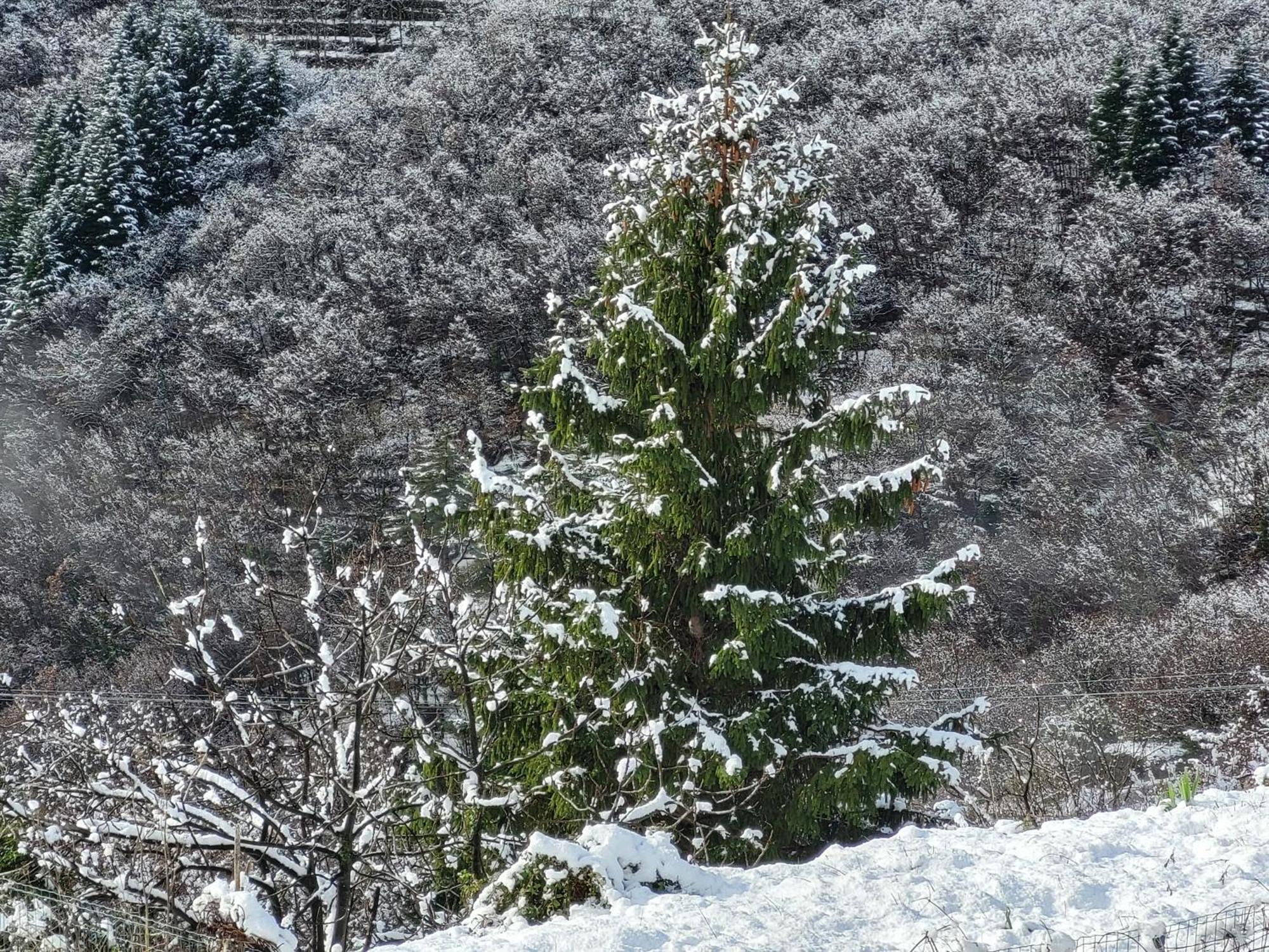 Antiche Atmosfere... * Borzonasca